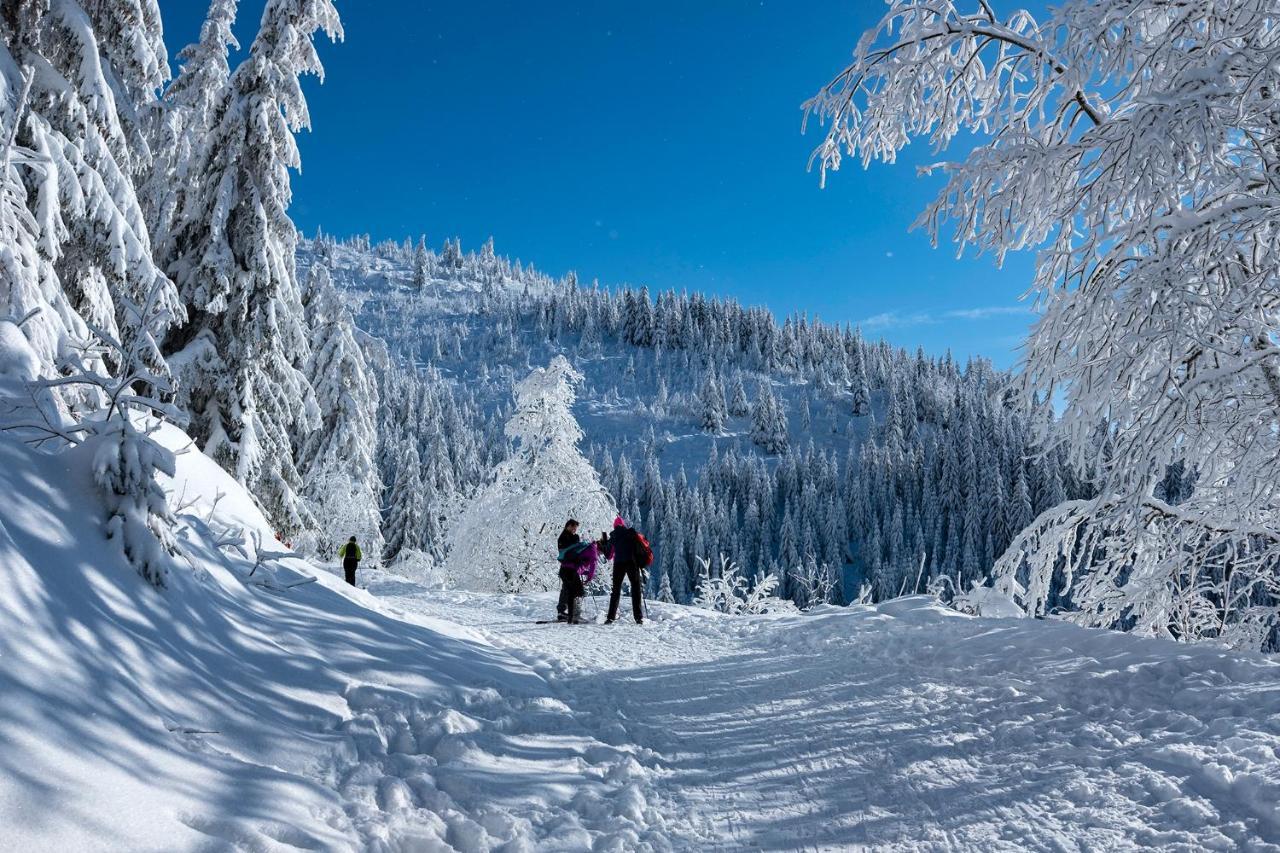 Отель Stara Zvonica Nizna Boca Экстерьер фото